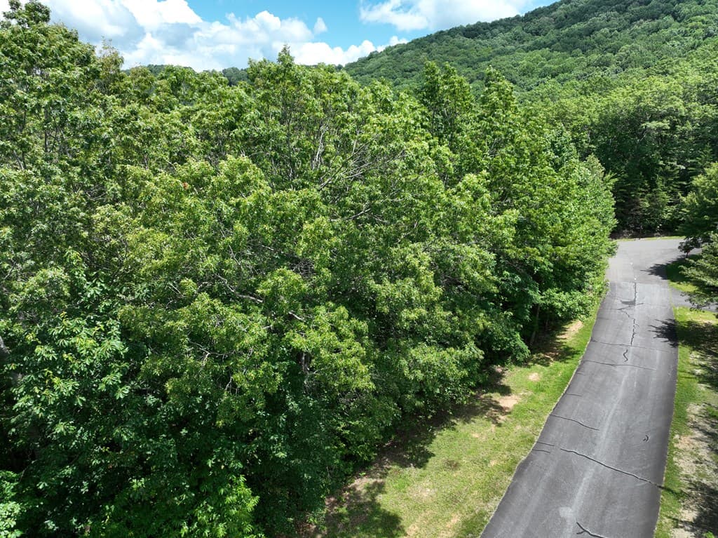 122 Cloudland Drive, Ellijay GA 30536 - Photo