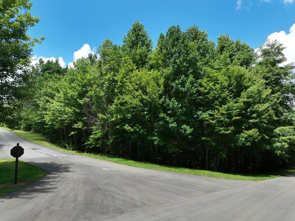 122 Cloudland Drive, Ellijay GA 30536 - Photo