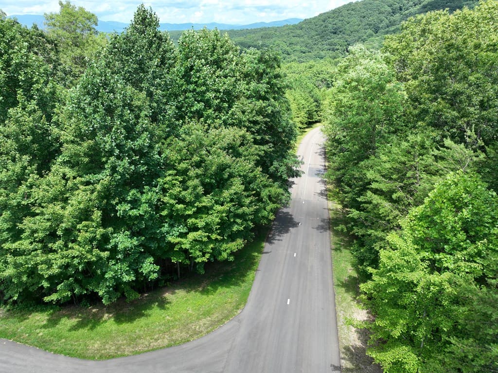 122 Cloudland Drive, Ellijay GA 30536 - Photo