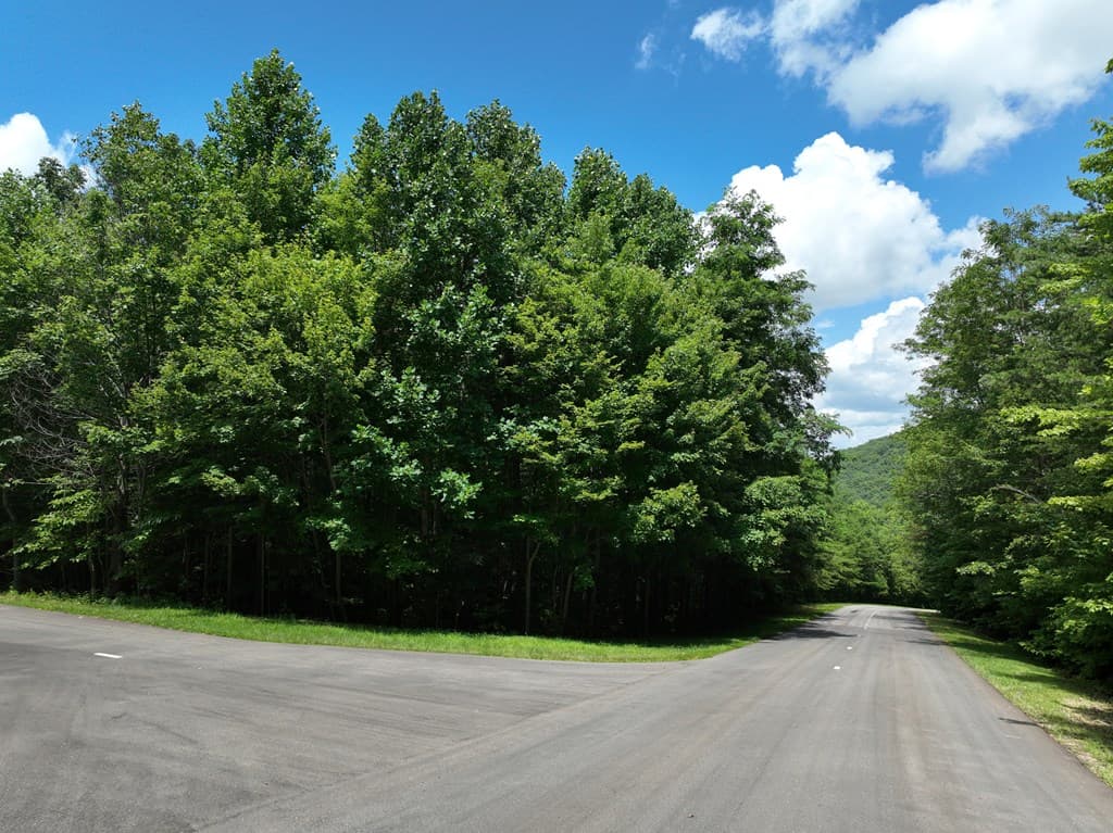 122 Cloudland Drive, Ellijay GA 30536 - Photo