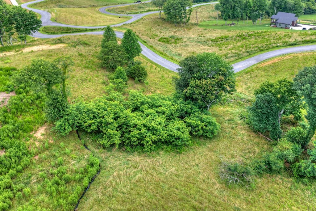 Lot 42 Big Valley Overlook, Morganton GA 30560 - Photo