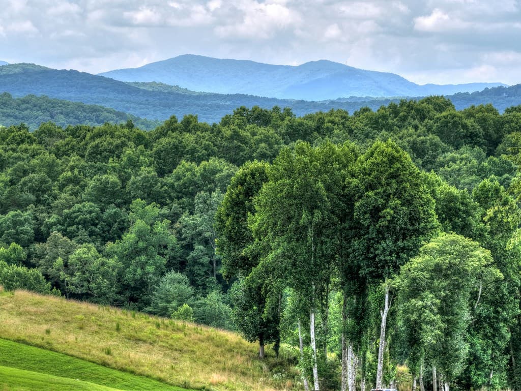 Lot 42 Big Valley Overlook, Morganton GA 30560 - Photo