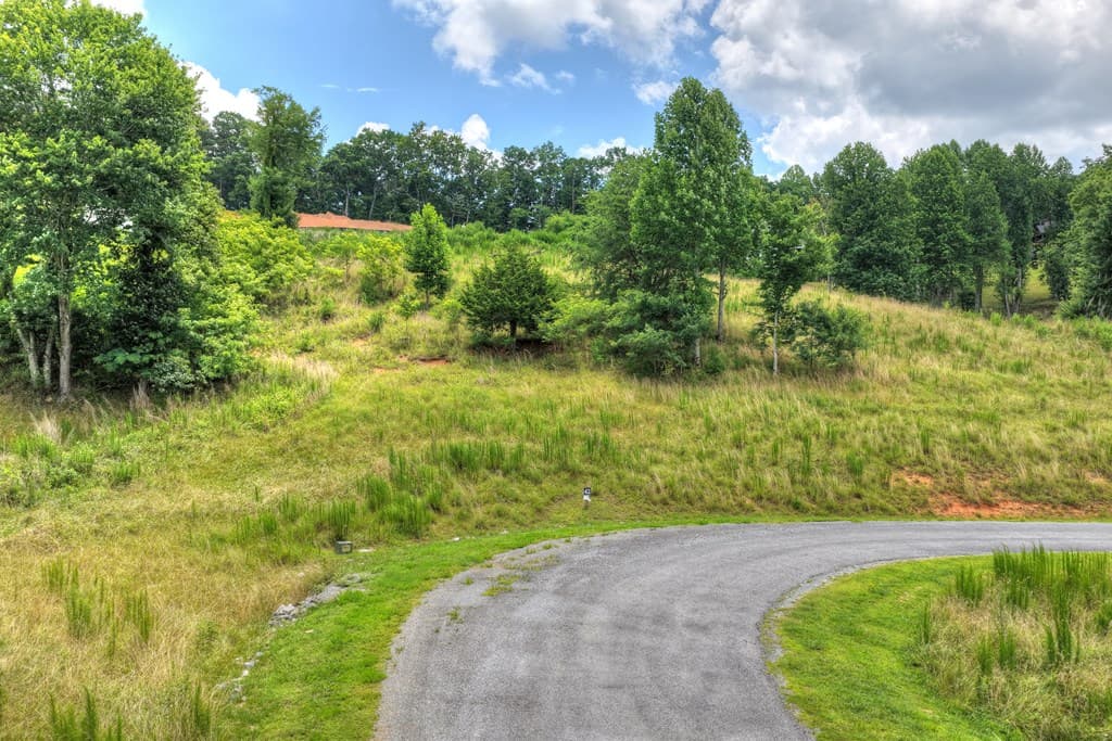 Lot 42 Big Valley Overlook, Morganton GA 30560 - Photo