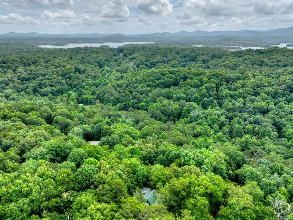 246 Uphill Road, Blue Ridge GA 30513 - Photo