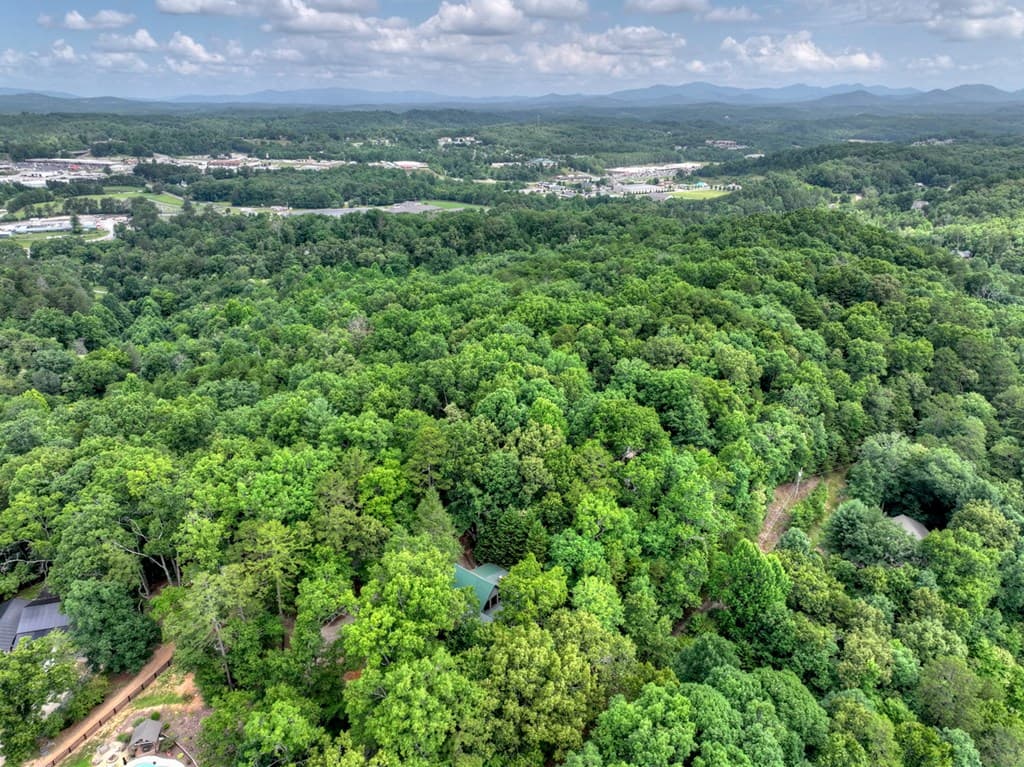 246 Uphill Road, Blue Ridge GA 30513 - Photo