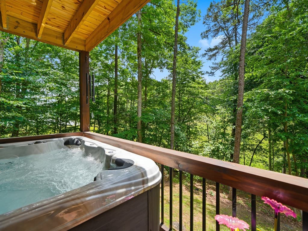 214 Kelly Lane, Ellijay GA 30540 - Photo