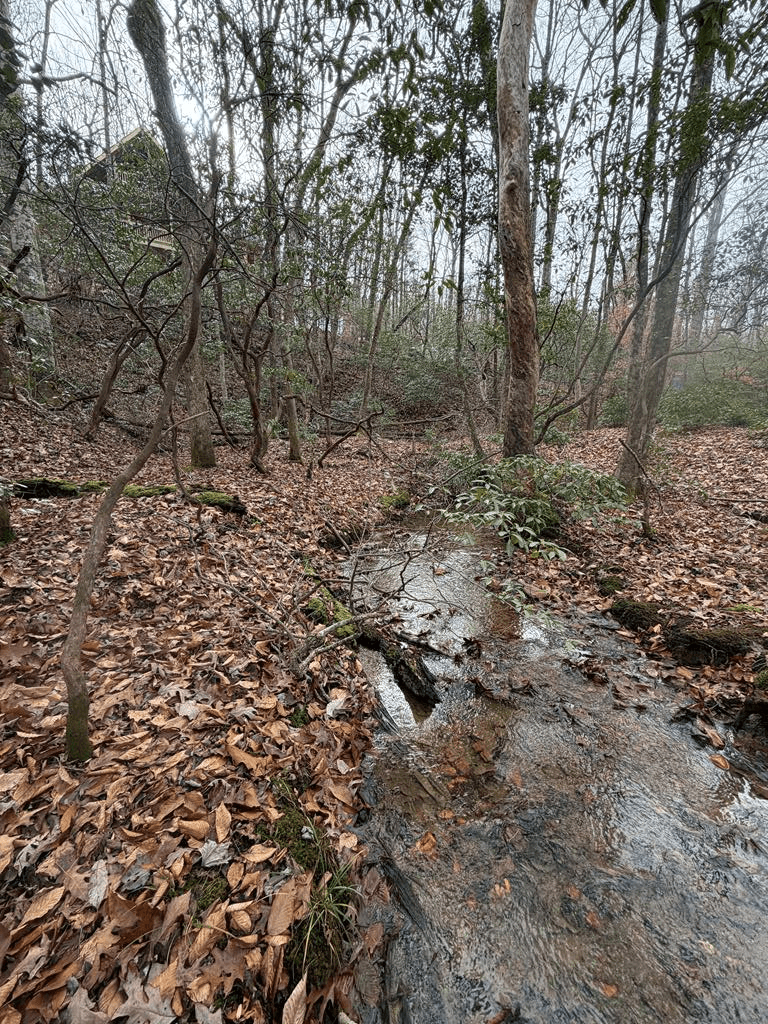 811 Mangums Trail, Blue Ridge GA 30513 - Photo
