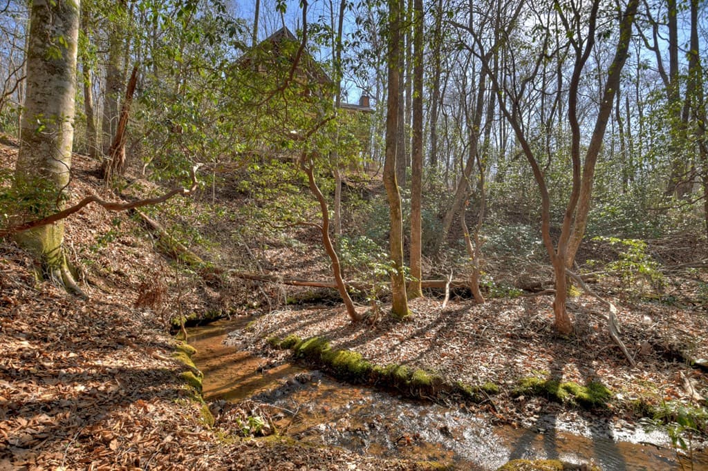811 Mangums Trail, Blue Ridge GA 30513 - Photo