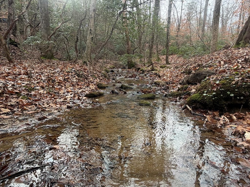 811 Mangums Trail, Blue Ridge GA 30513 - Photo