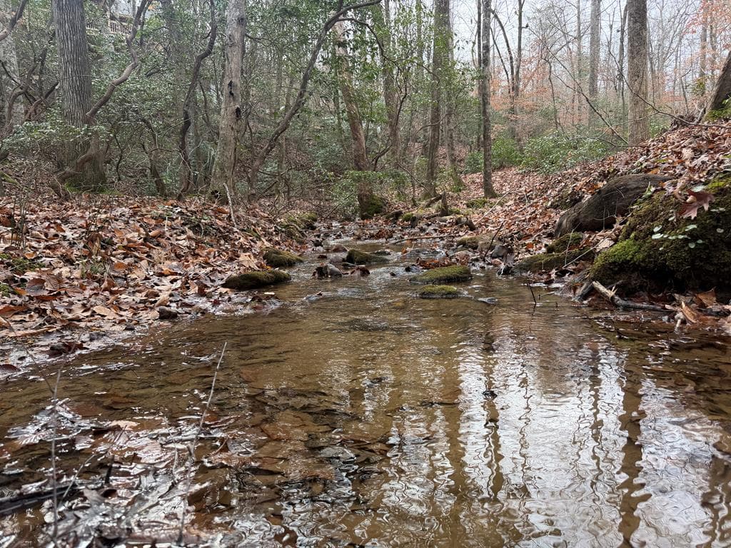 811 Mangums Trail, Blue Ridge GA 30513 - Photo