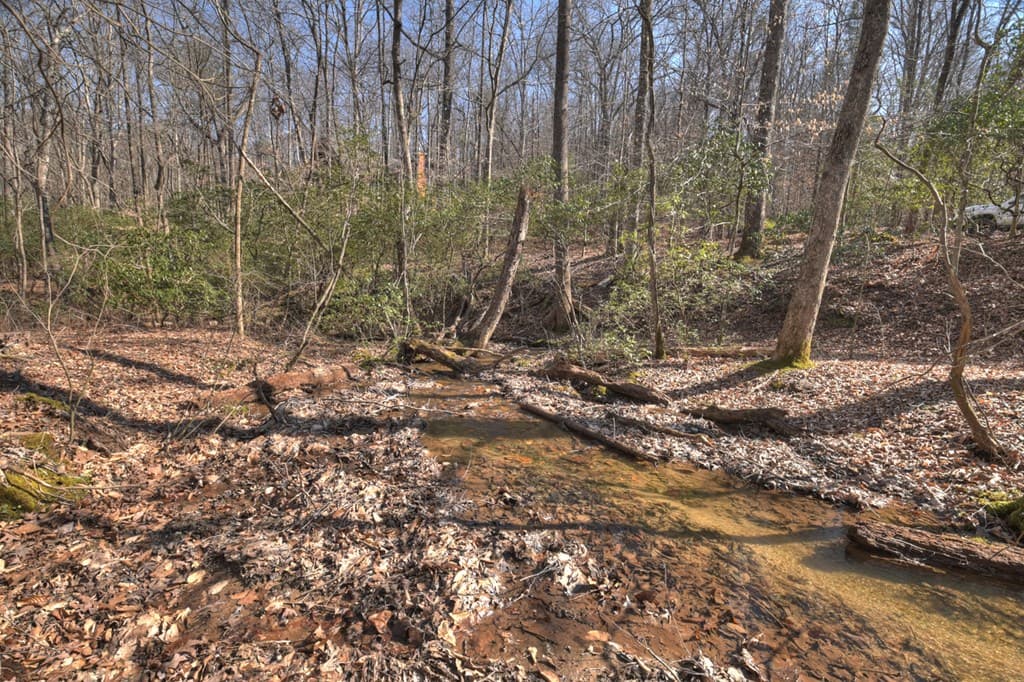 811 Mangums Trail, Blue Ridge GA 30513 - Photo