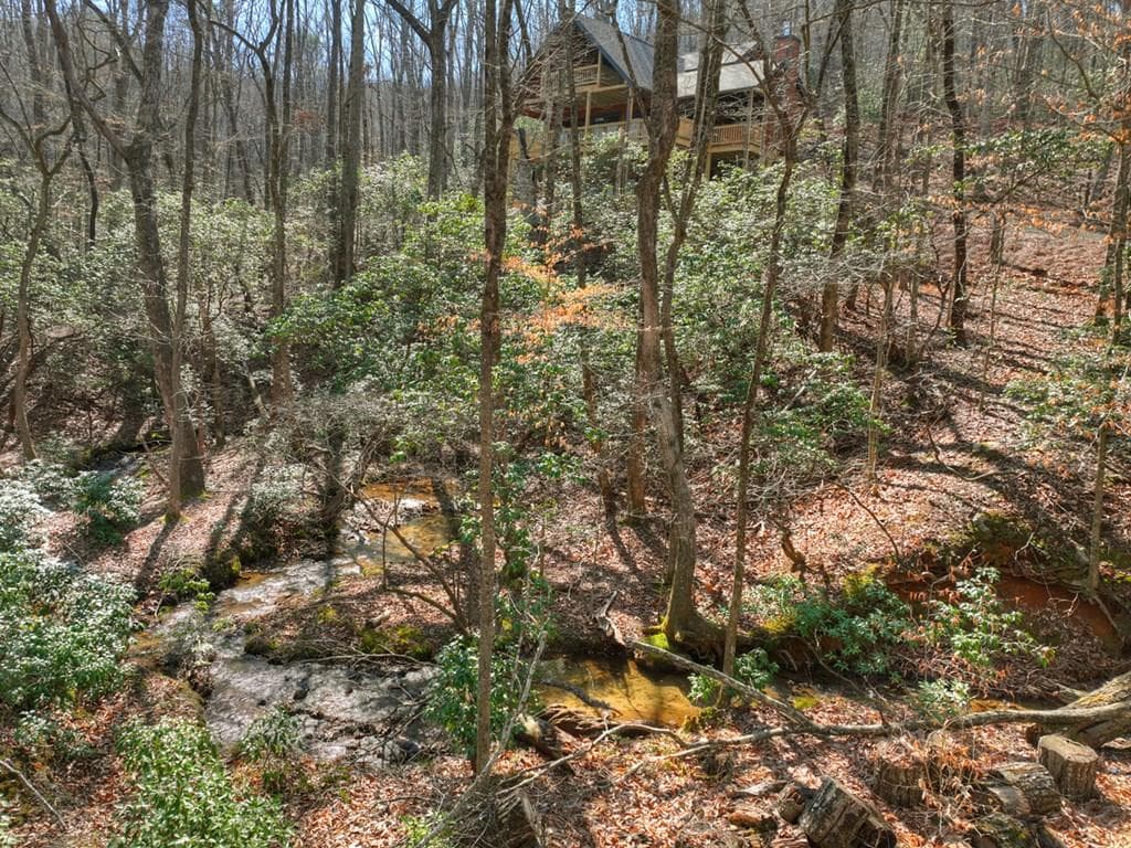 811 Mangums Trail, Blue Ridge GA 30513 - Primary photo
