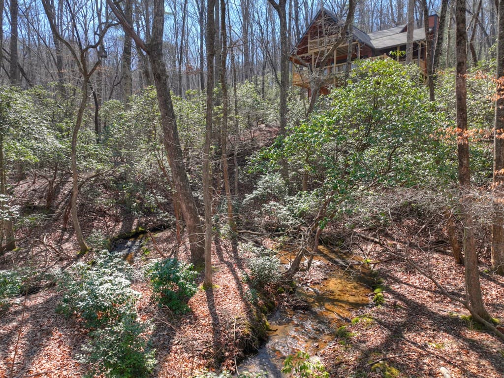 811 Mangums Trail, Blue Ridge GA 30513 - Photo