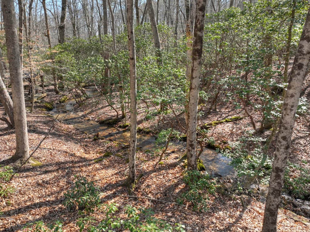 811 Mangums Trail, Blue Ridge GA 30513 - Photo