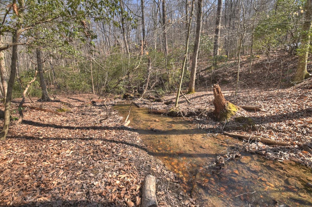811 Mangums Trail, Blue Ridge GA 30513 - Photo