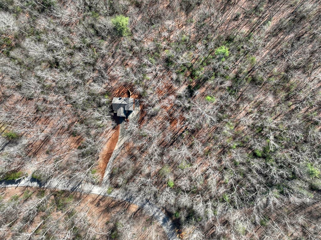811 Mangums Trail, Blue Ridge GA 30513 - Photo
