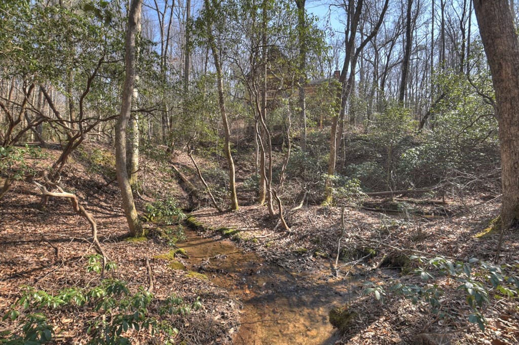 811 Mangums Trail, Blue Ridge GA 30513 - Photo