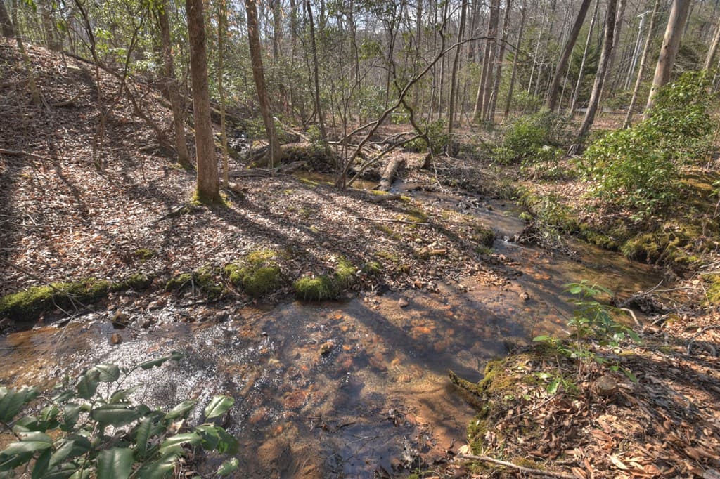 811 Mangums Trail, Blue Ridge GA 30513 - Photo