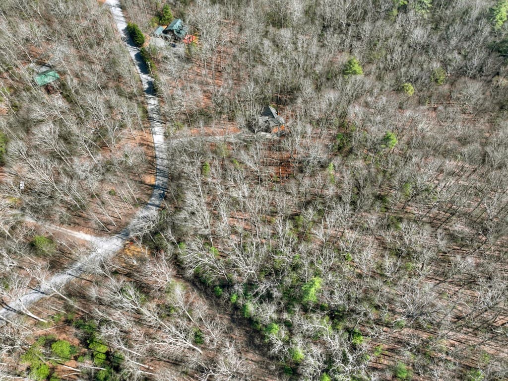 811 Mangums Trail, Blue Ridge GA 30513 - Photo