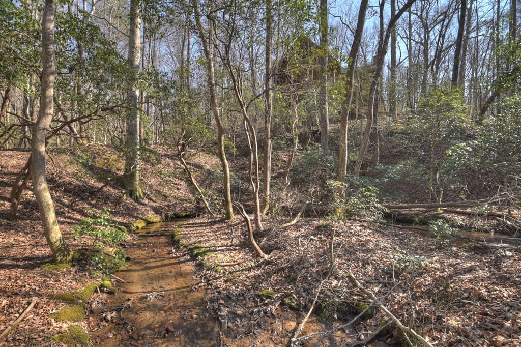 811 Mangums Trail, Blue Ridge GA 30513 - Photo