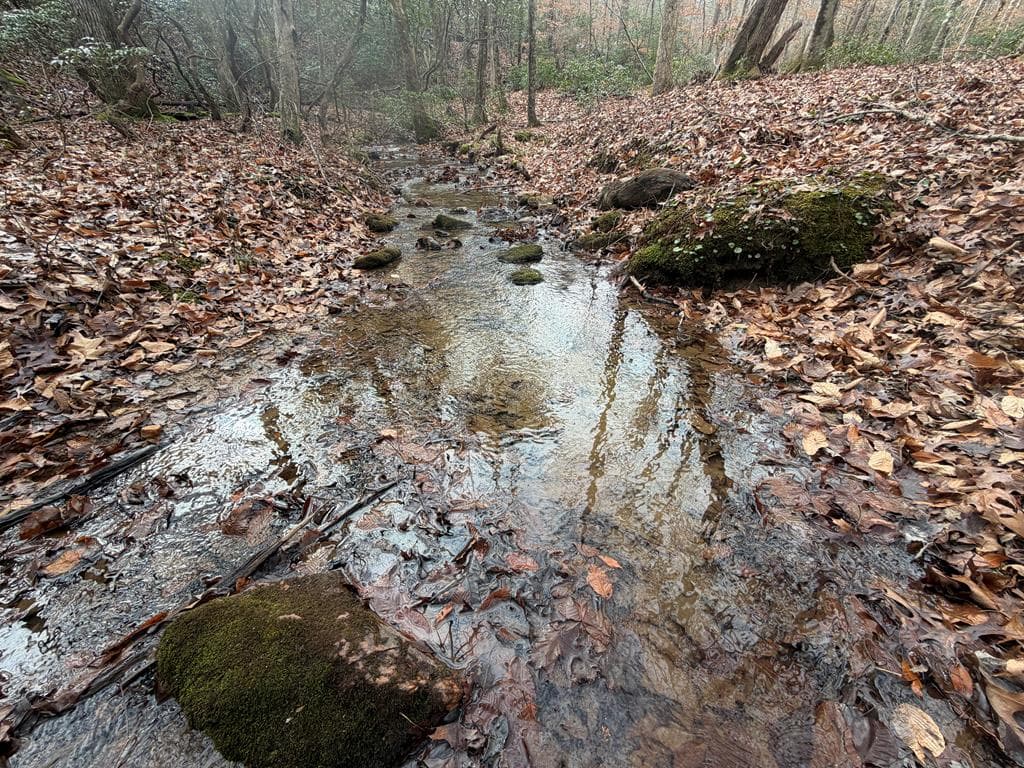 811 Mangums Trail, Blue Ridge GA 30513 - Photo