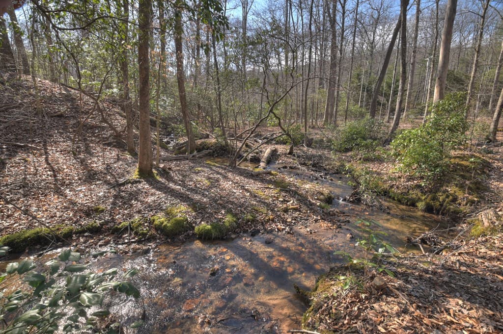 811 Mangums Trail, Blue Ridge GA 30513 - Photo