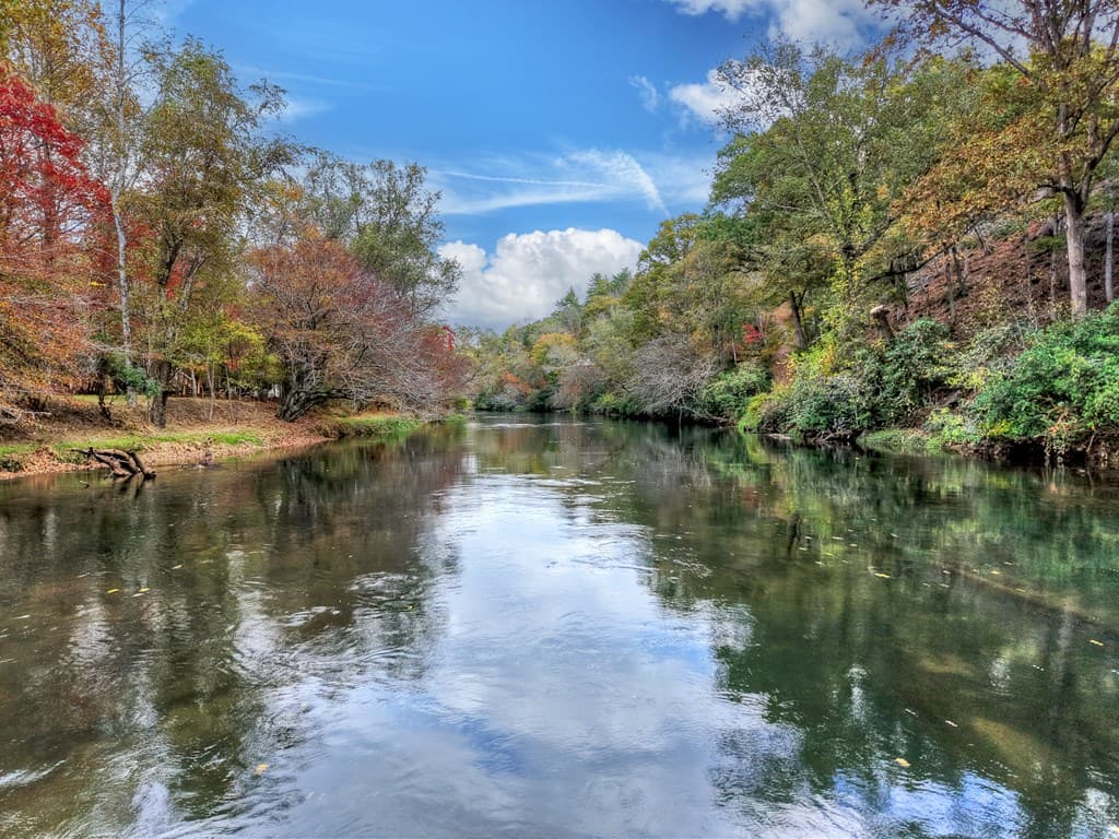 577 Blackberry Drive, Mineral Bluff GA 30559 - Photo
