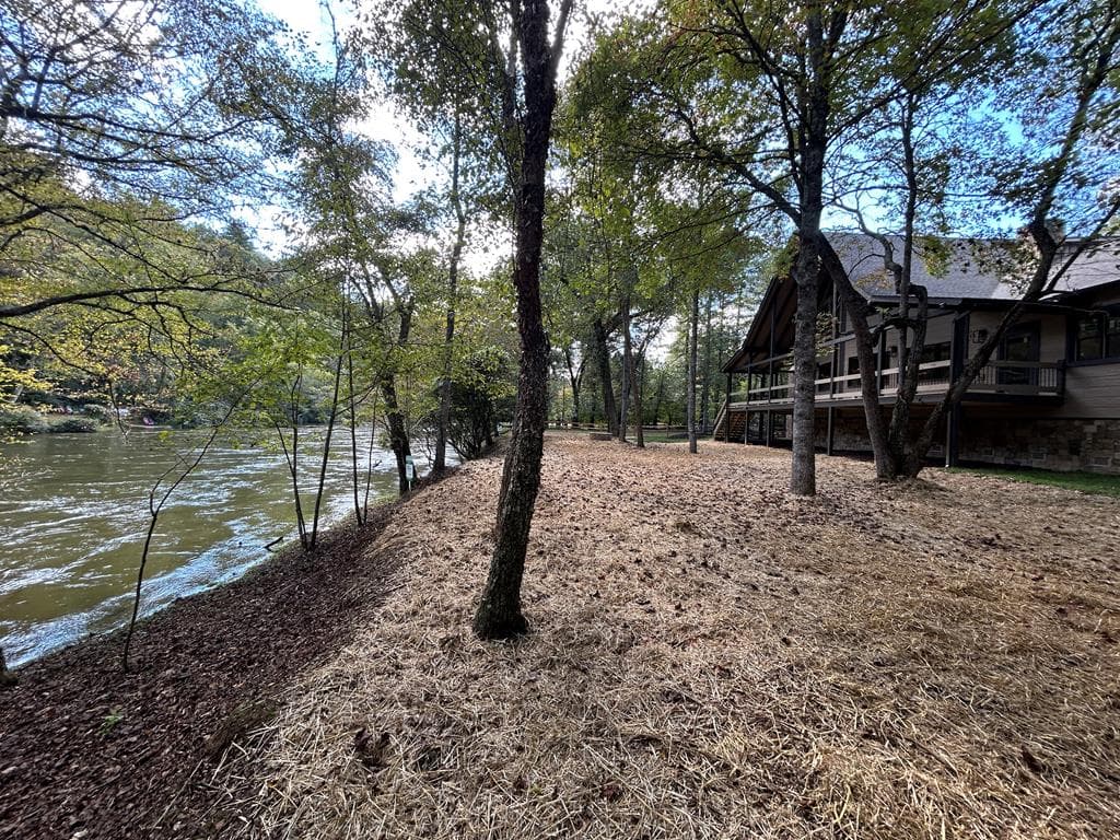 577 Blackberry Drive, Mineral Bluff GA 30559 - Photo