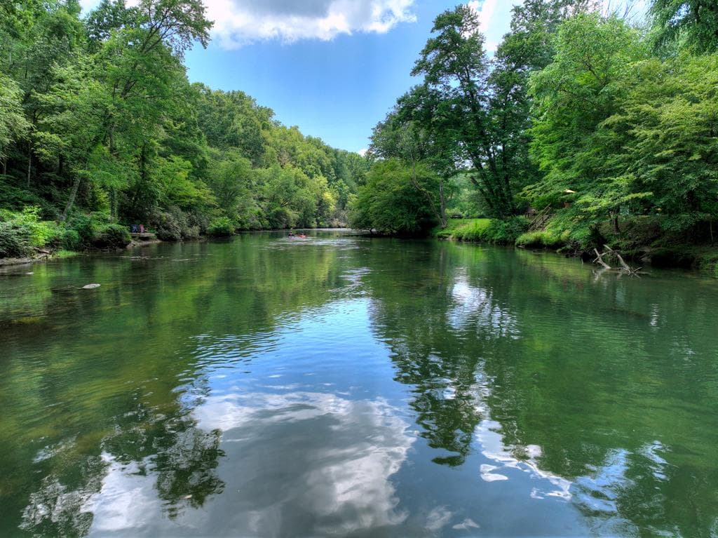 577 Blackberry Drive, Mineral Bluff GA 30559 - Photo