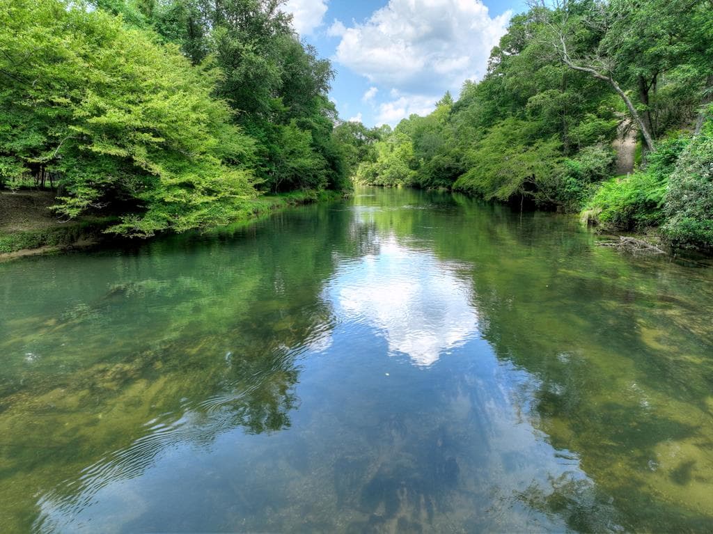 577 Blackberry Drive, Mineral Bluff GA 30559 - Photo