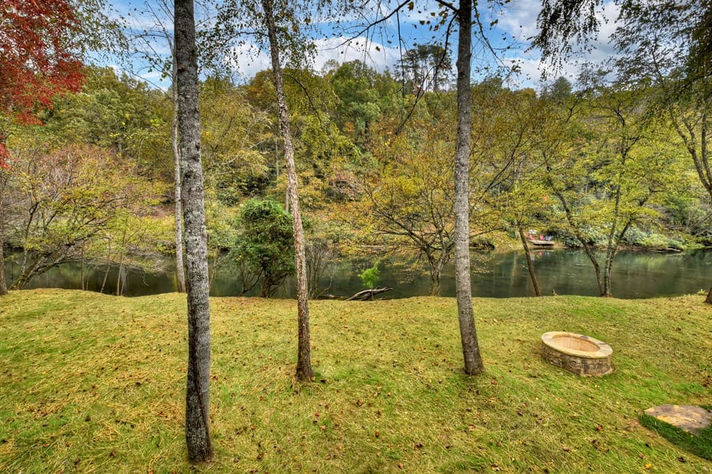 577 Blackberry Drive, Mineral Bluff GA 30559 - Photo
