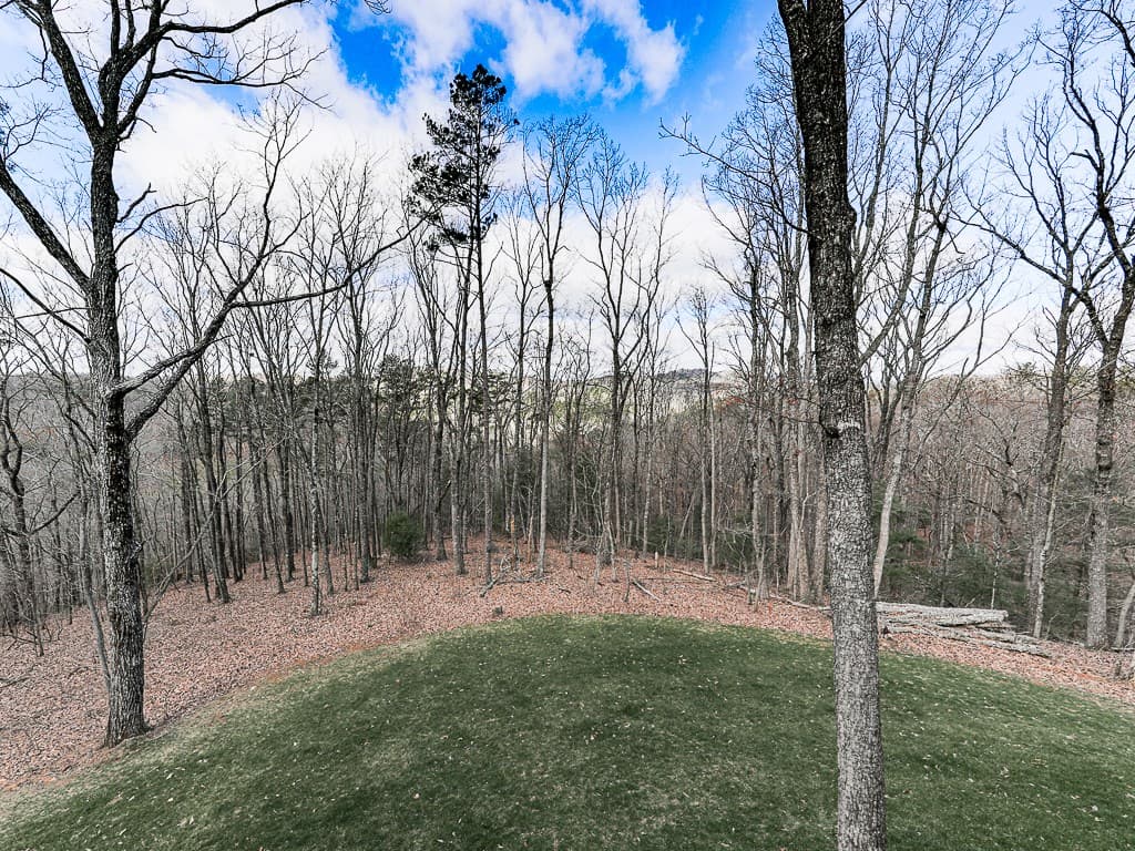 208 Weeks Drive, Ellijay GA 30540 - Photo
