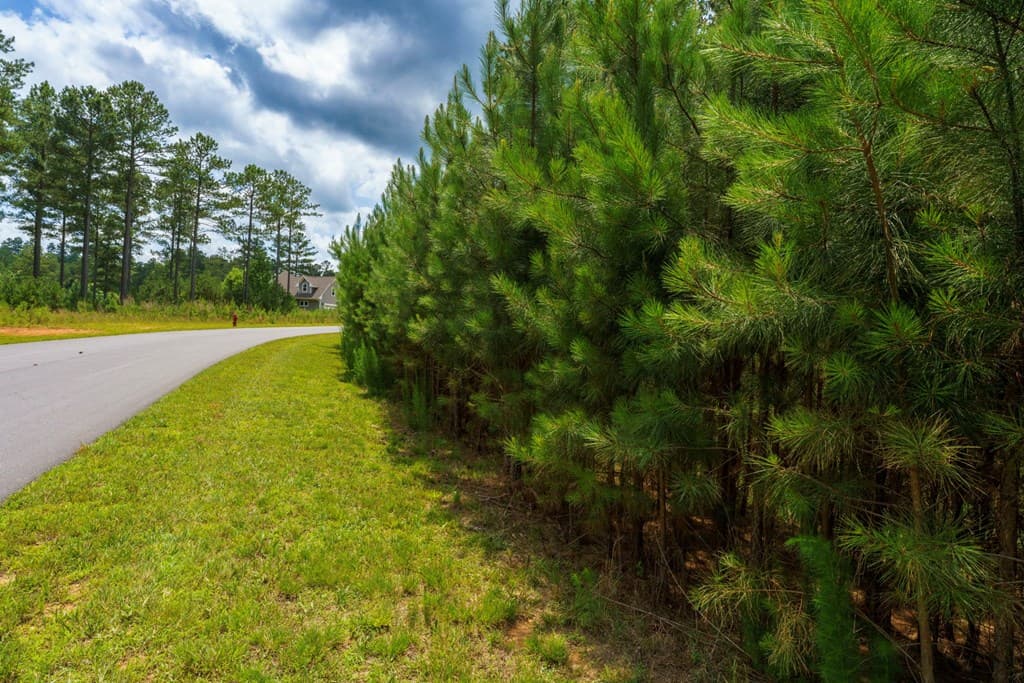 Lot 343 Loop Lane, Blairsville GA 30512 - Photo