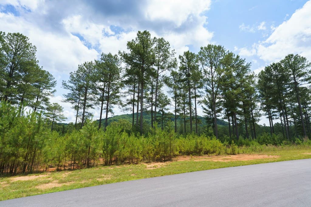 Lot 343 Loop Lane, Blairsville GA 30512 - Photo