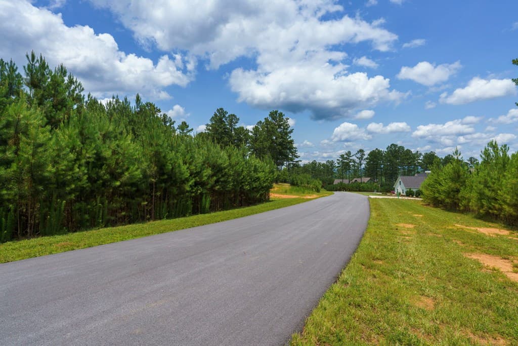Lot 343 Loop Lane, Blairsville GA 30512 - Photo