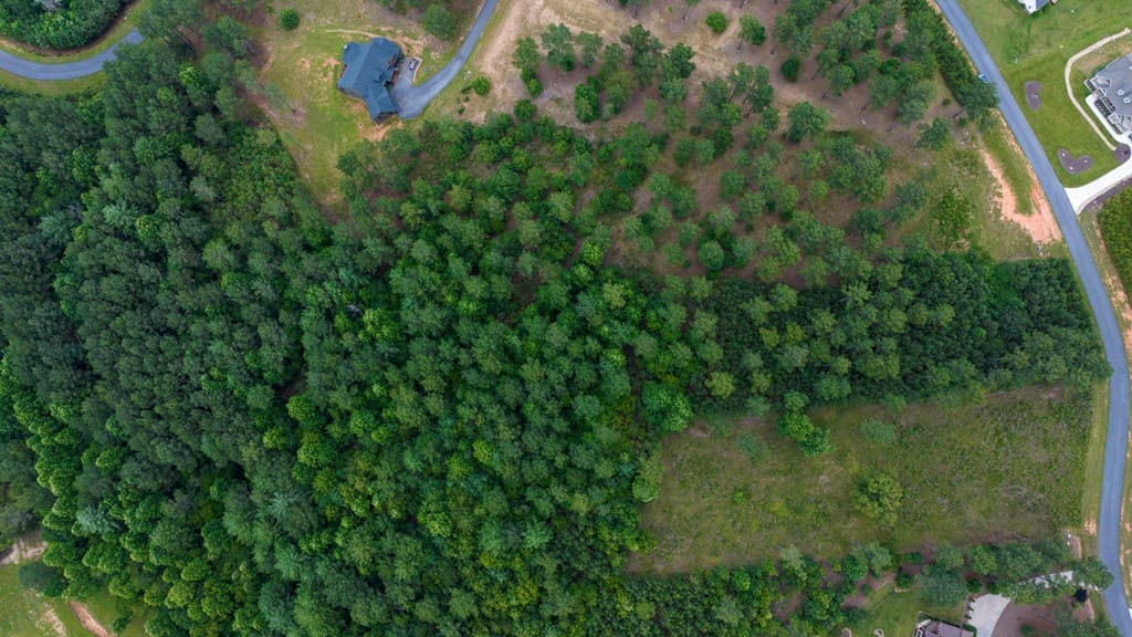Lot 343 Loop Lane, Blairsville GA 30512 - Photo