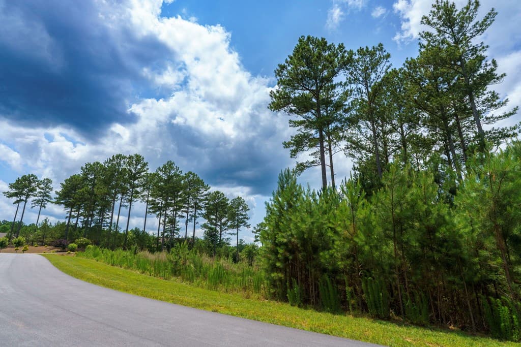 Lot 343 Loop Lane, Blairsville GA 30512 - Photo