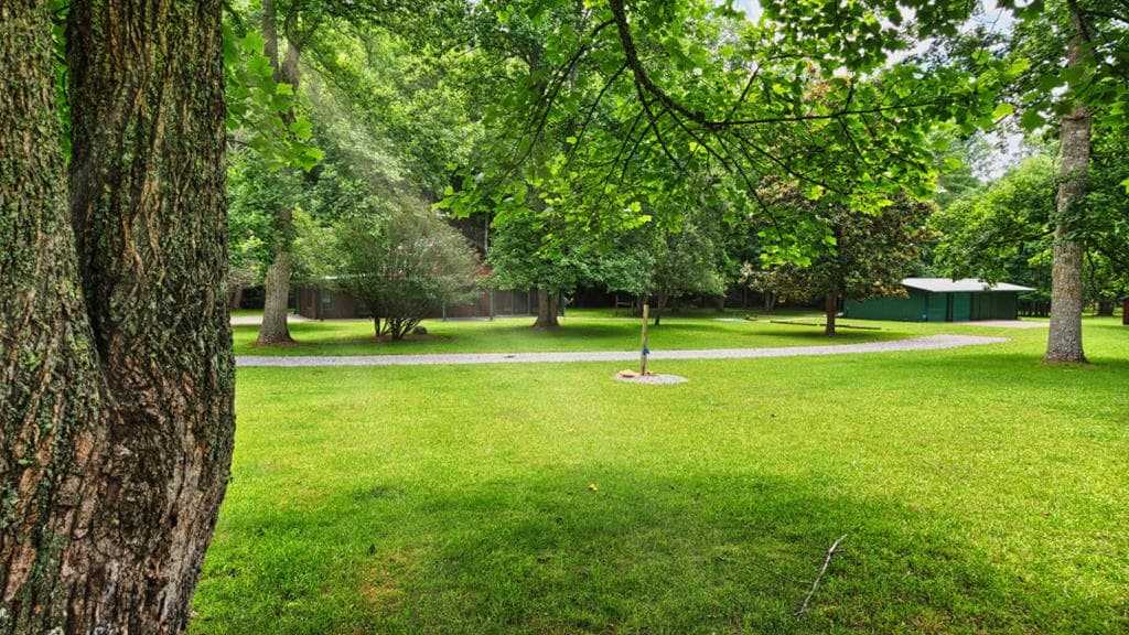 170 Dogpatch Lane, Blue Ridge GA 30513 - Photo