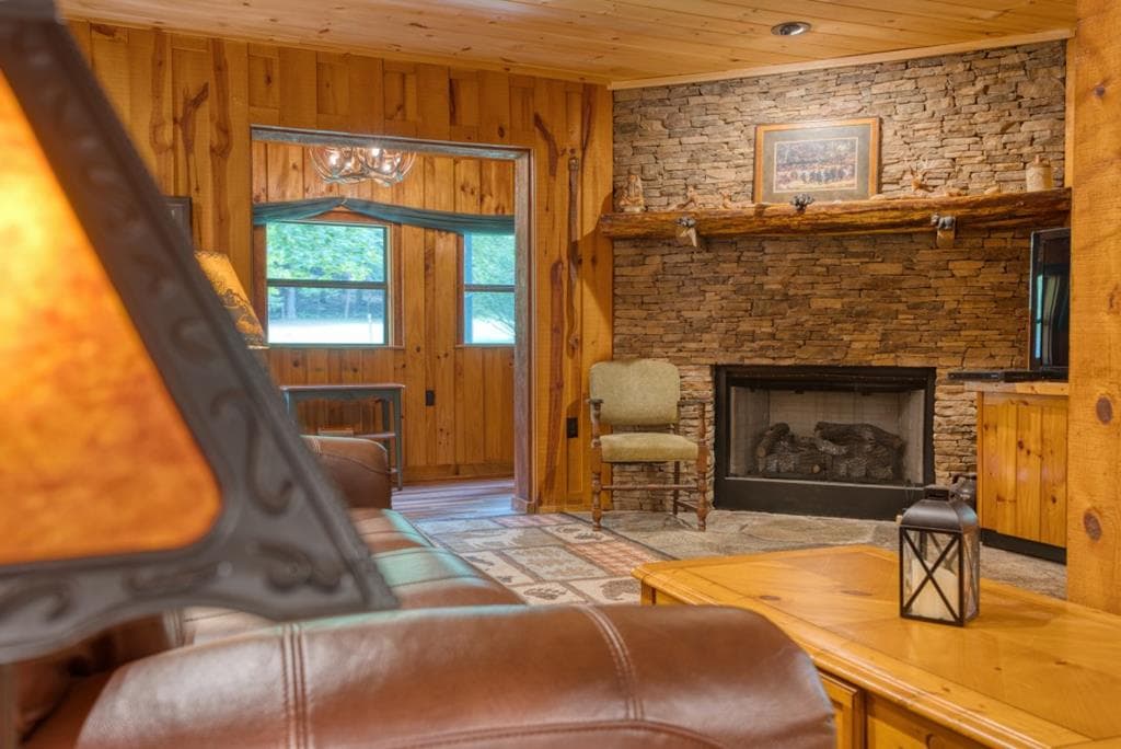 170 Dogpatch Lane, Blue Ridge GA 30513 - Photo