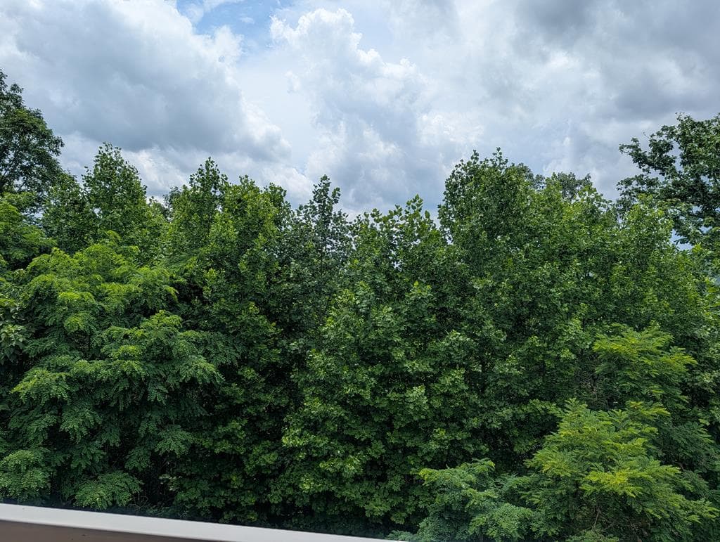 388 Ross Ridge Road, Blairsville GA 30512 - Photo