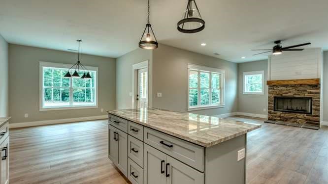 209 Lola Mae Way, Morganton GA 30560 - Photo