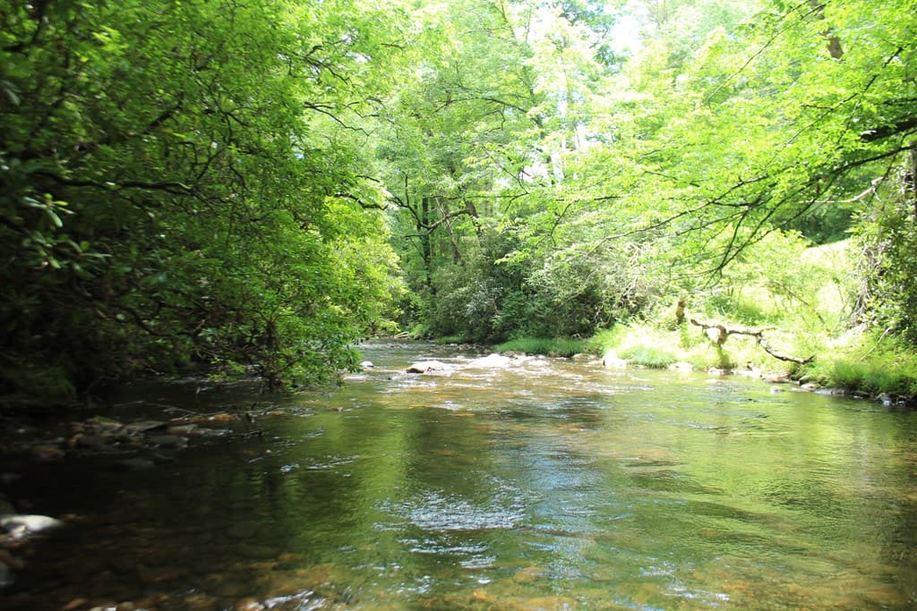Lots 5,6 Slate Stone, Hayesville NC 28904 - Photo