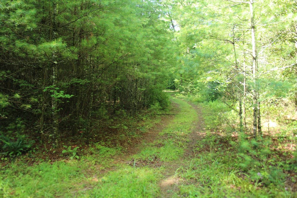 Lots 5,6 Slate Stone, Hayesville NC 28904 - Photo