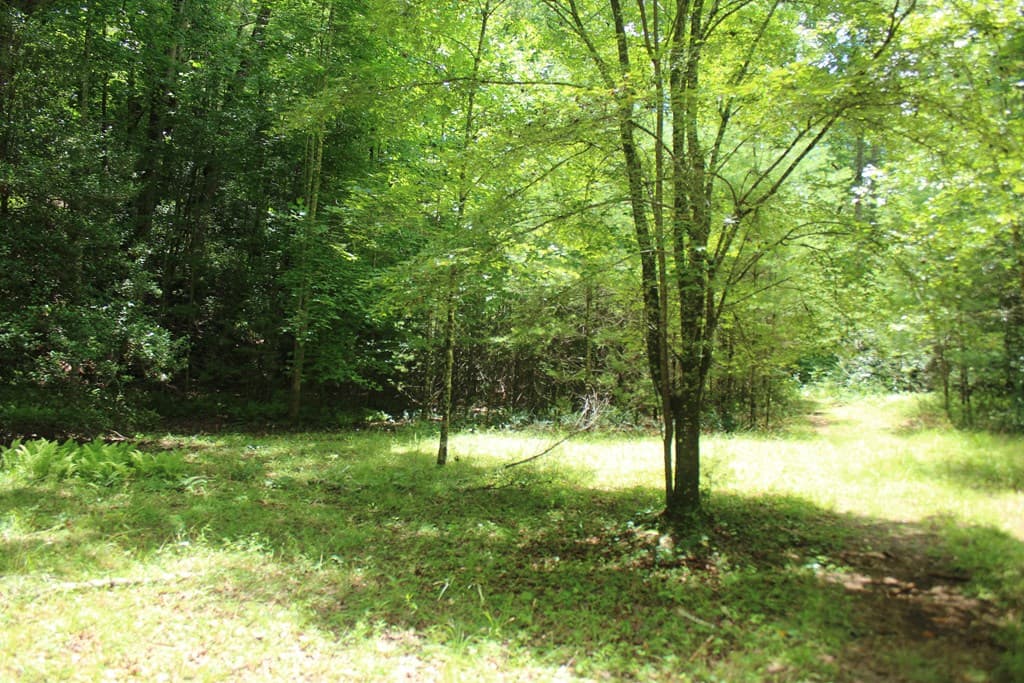 Lots 5,6 Slate Stone, Hayesville NC 28904 - Photo