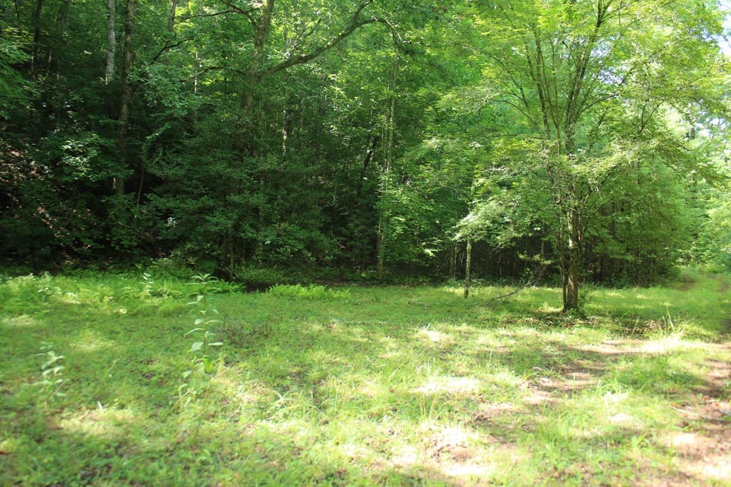 Lots 5,6 Slate Stone, Hayesville NC 28904 - Photo