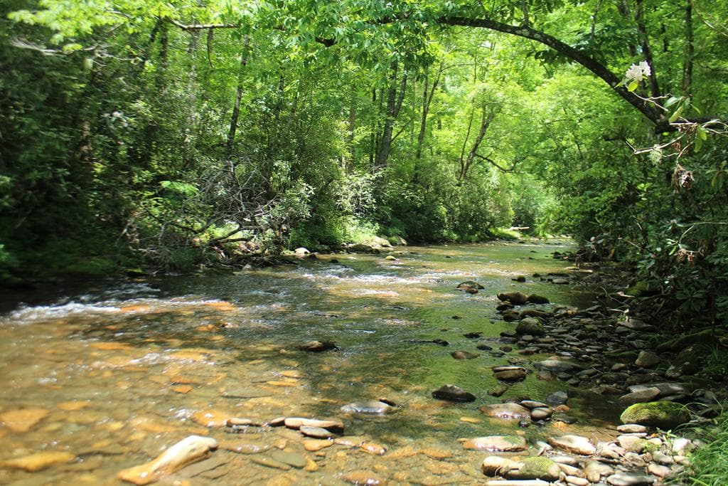 Lots 5,6 Slate Stone, Hayesville NC 28904 - Primary photo