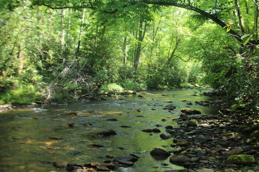 Lots 5,6 Slate Stone, Hayesville NC 28904 - Photo