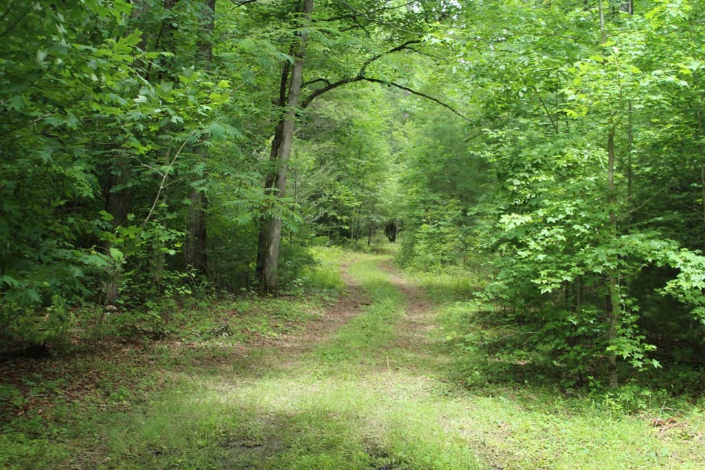 Lots 5,6 Slate Stone, Hayesville NC 28904 - Photo