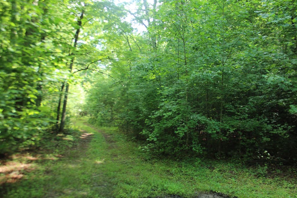 Lots 5,6 Slate Stone, Hayesville NC 28904 - Photo