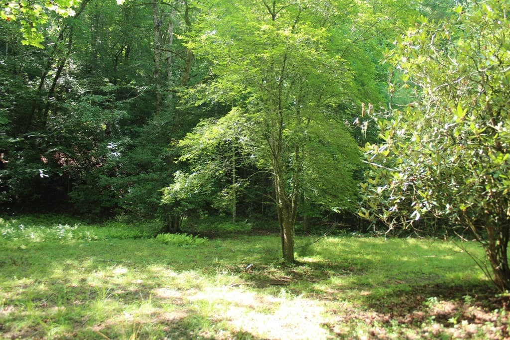 Lots 5,6 Slate Stone, Hayesville NC 28904 - Photo